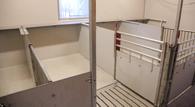 Nye sykebinger i Format-fjøset på klepp