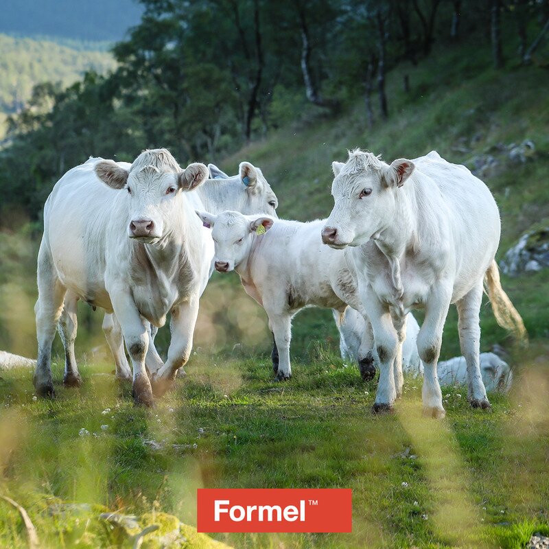 FORMEL Ammekukonsentrat | BondeKompaniet