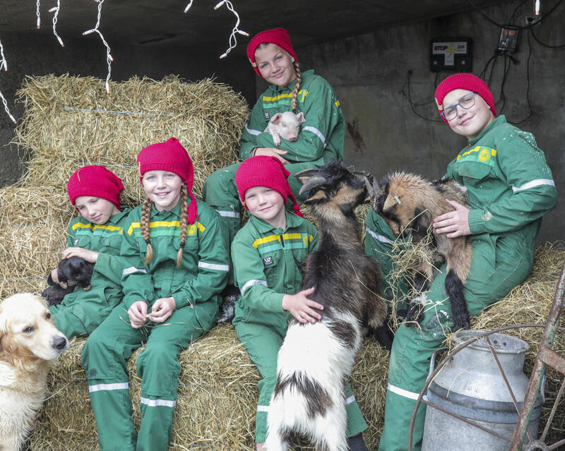 Barna på julegården gleder seg til åpning. FV. Truls (som blir 8 nyttårsaften),  Ane (11), Jonas (9), Mads (14). Bak Maren (13).