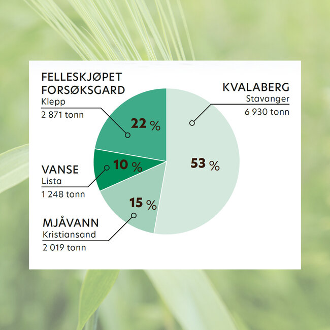Antall prosentandel levert til våre kornmottak. Antall prosentandel levert til våre kornmottak.