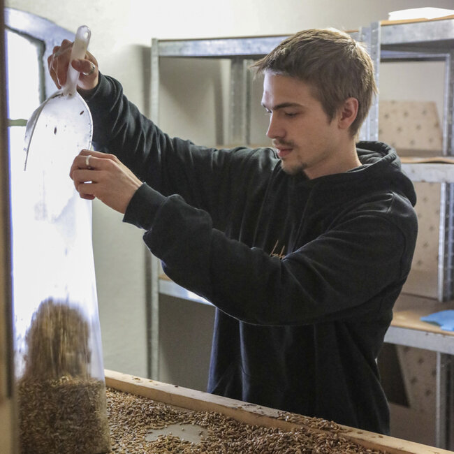 Kasper Brun i full sving med havreskall.