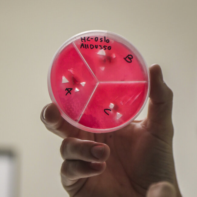 Joakim har kontrollen på laboratoriet.