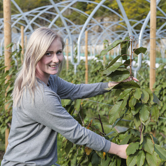 Alexandra Munthe viser hvordan UFO-metoden fungerer i praksis.