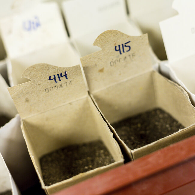 Jordprøver l\klar til analyse.