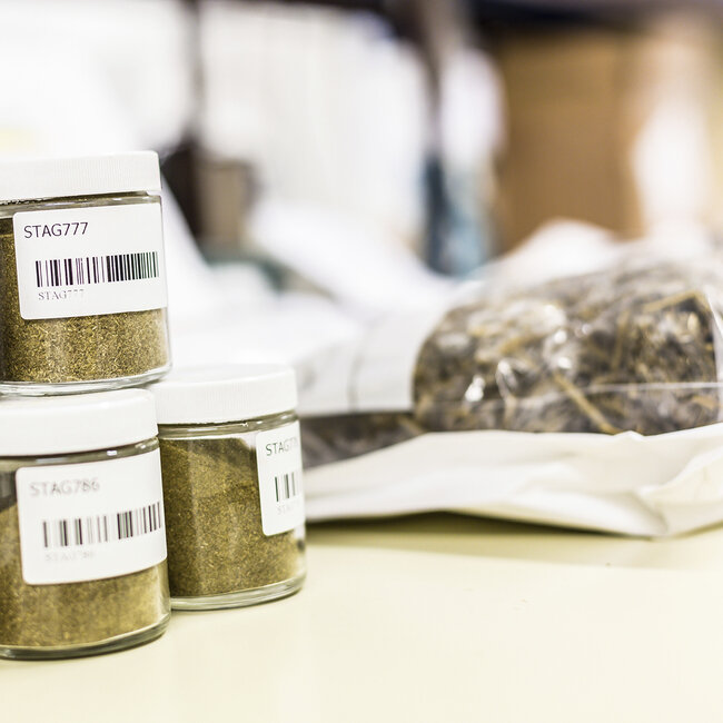 Grovfôrprøver klar til analyse.