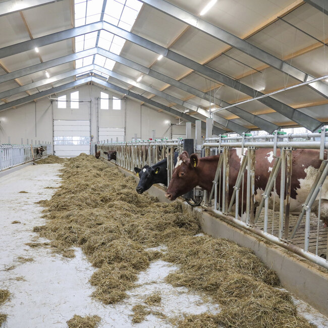 Det er viktig for Jone at dyra får god plass.