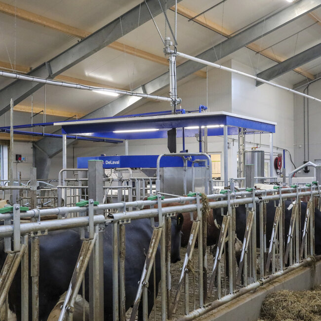 DeLaval  melkerobot VMS 310 RePro, som registrerer progesteronnivået til hver ku i rett tid..