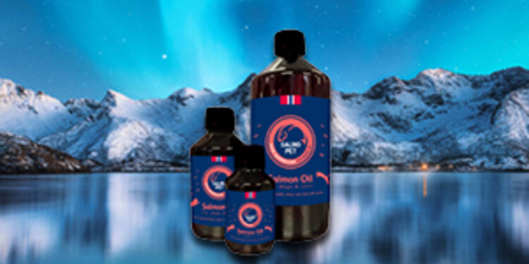 Porno oyin fin bilan saqich