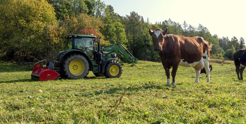 Nå er det tid for beitepussing og kantslått.