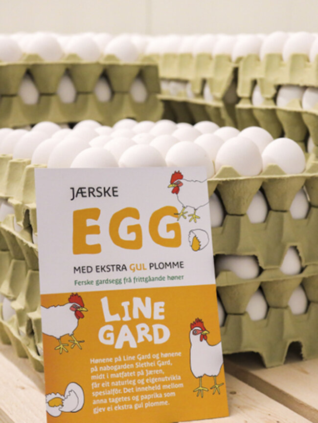 Eigenproduserte egg frå Line Gard. Eigenproduserte egg frå Line Gard.