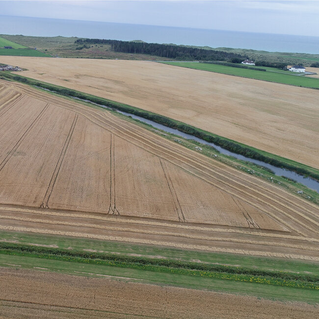Avlingsmåling skjer kontinuerlig med hjelp av vekt- og fuktmålingsceller.