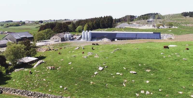 Felleskjøpet Fôrutvikling AS