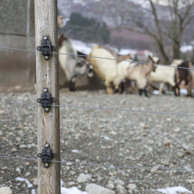 Elektrisk Gjerde Geit