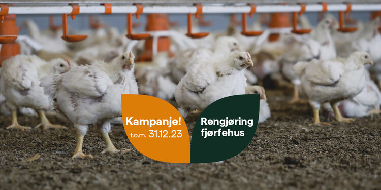 Kampanje! | BondeKompaniet