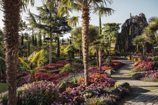Flor og Fjære i all sin blomsterprakt.