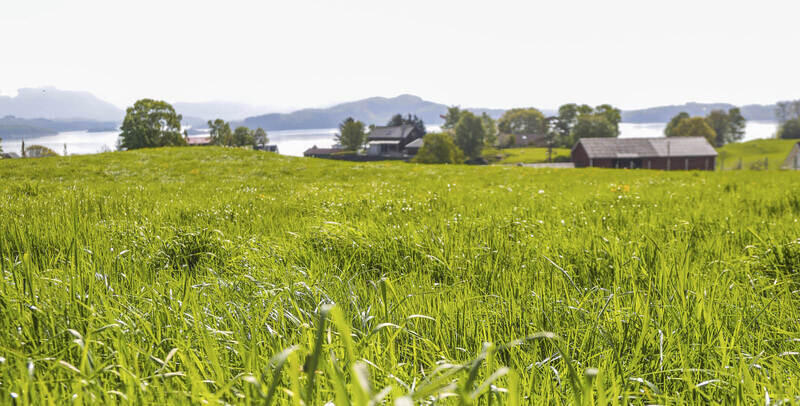 Riktig gjødsling og kalking | BondeKompaniet