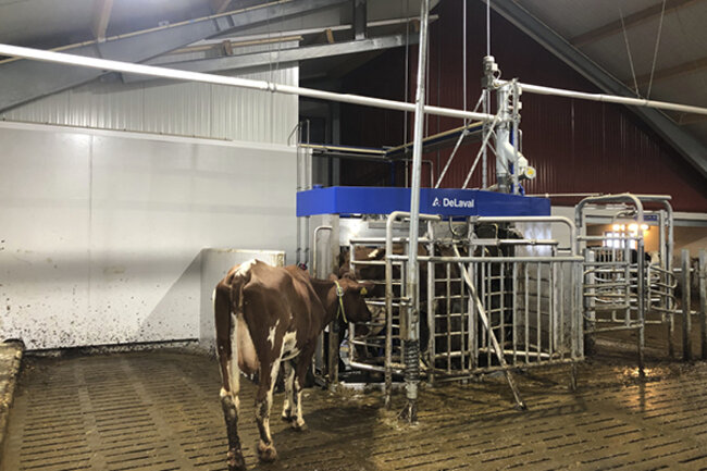 Felleskjøpet Rogaland Agder har levert nytt påbygg til vms-løsdriftsfjøs til Sofie Nærland og Kasper Kløvjan på Nærbø i Rogaland.