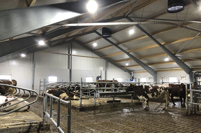 Felleskjøpet Rogaland Agder har levert nytt påbygg til vms-løsdriftsfjøs til Sofie Nærland og Kasper Kløvjan på Nærbø i Rogaland.