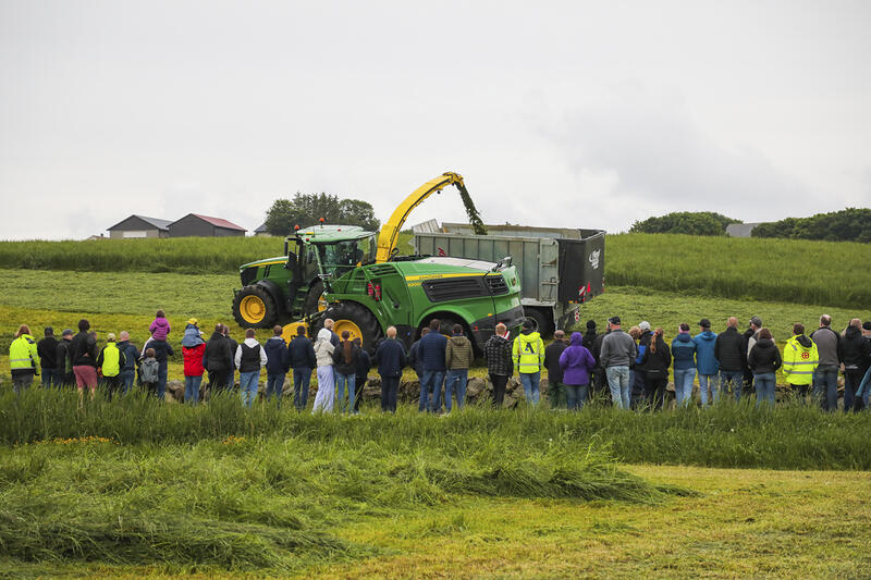 Grasdemo 2024 på Felleskjøpet Forsøksgard på Klepp.