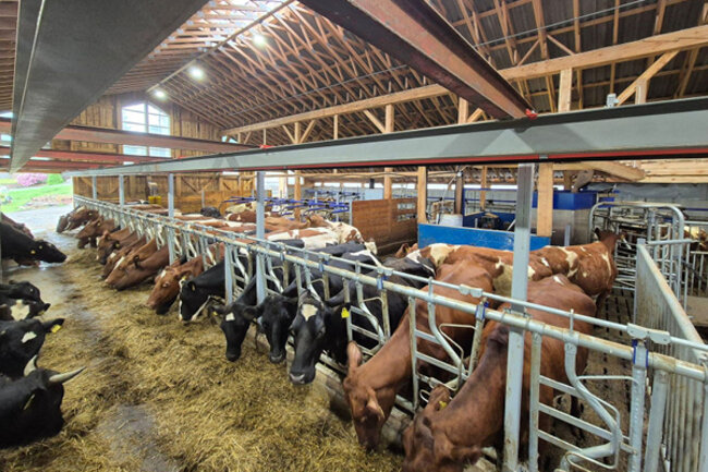 FKRA har levert utatyr til nytt VMS melkefjøs hos Jørn Strand i Vindafjord kommune.