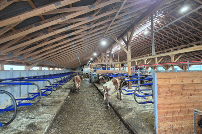 FKRA har levert utatyr til nytt VMS melkefjøs hos Jørn Strand i Vindafjord kommune.