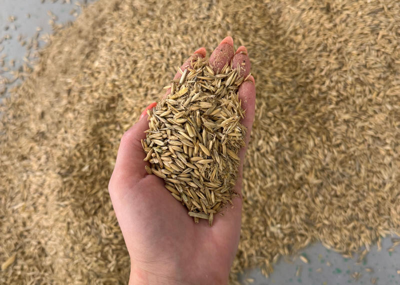 Havreskall som skal videre til forbrenning.