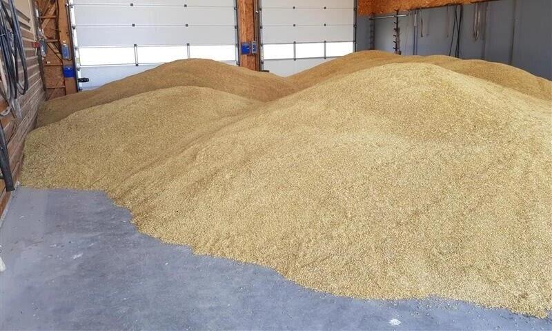 TORGEIR: Dette byggpartiet skal bli 4 forsøksblandinger. Foto: Egil Presteløkken