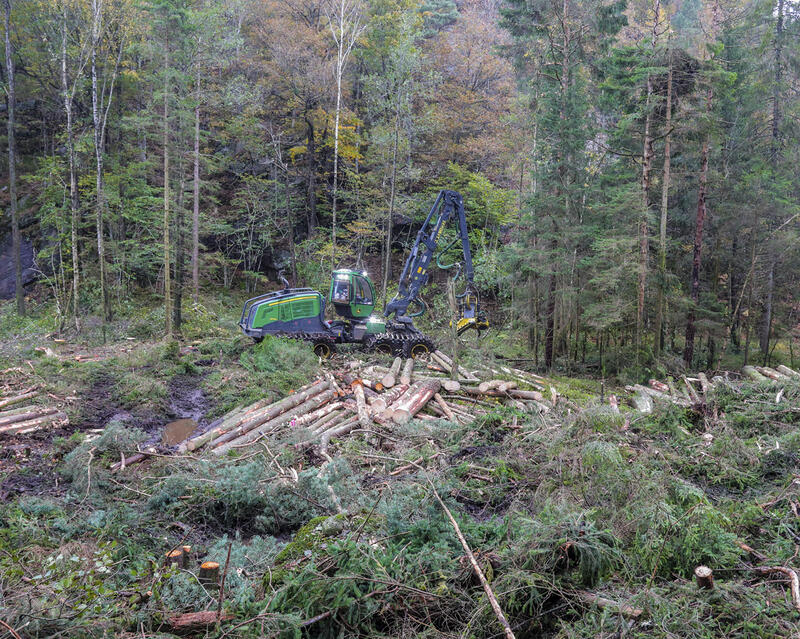 Hogstmaskinen John Deere 1270G rydder skogen effektivt.